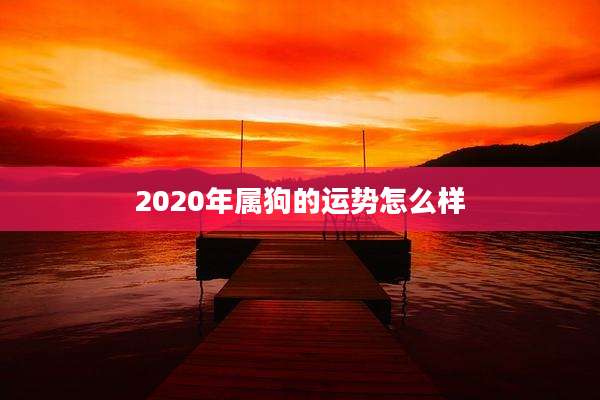 2020年属狗的运势怎么样