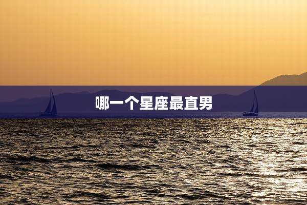 哪一个星座最直男