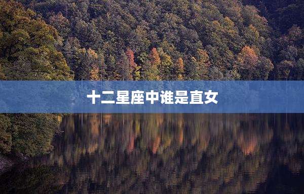 十二星座中谁是直女
