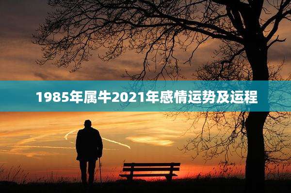 1985年属牛2021年感情运势及运程