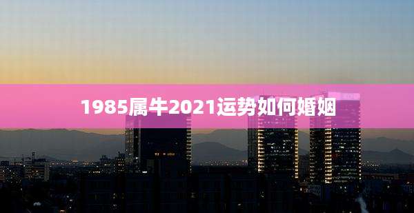 1985属牛2021运势如何婚姻