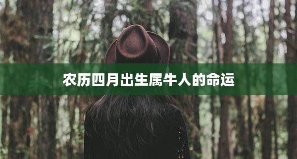 农历四月出生属牛人的命运