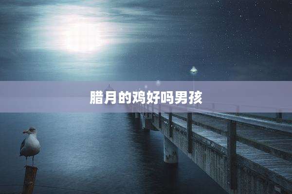 腊月的鸡好吗男孩