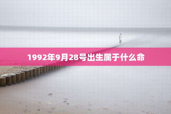 1992年9月28号出生属于什么命