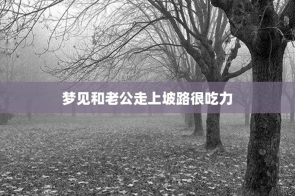 梦见和老公走上坡路很吃力