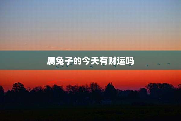 属兔子的今天有财运吗