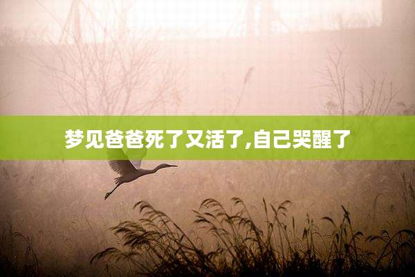 梦见爸爸死了又活了,自己哭醒了