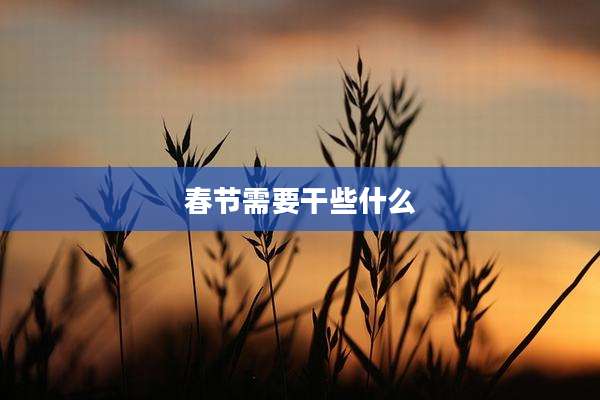 春节需要干些什么