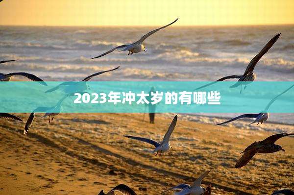 2023年冲太岁的有哪些