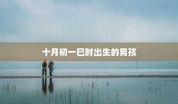 十月初一巳时出生的男孩