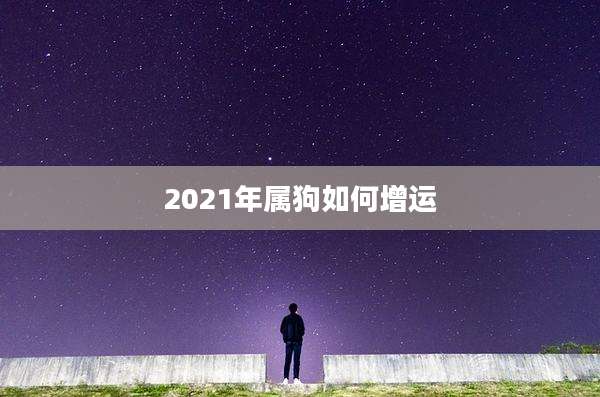 2021年属狗如何增运