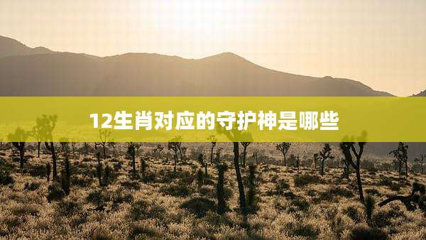 12生肖对应的守护神是哪些
