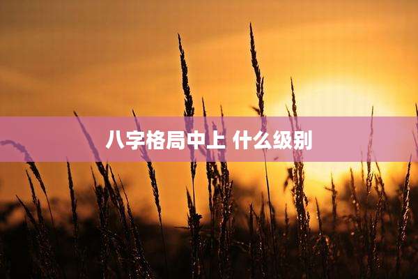 八字格局中上 什么级别