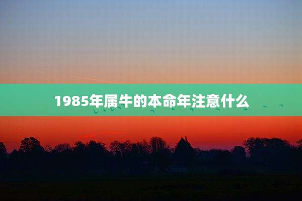 1985年属牛的本命年注意什么