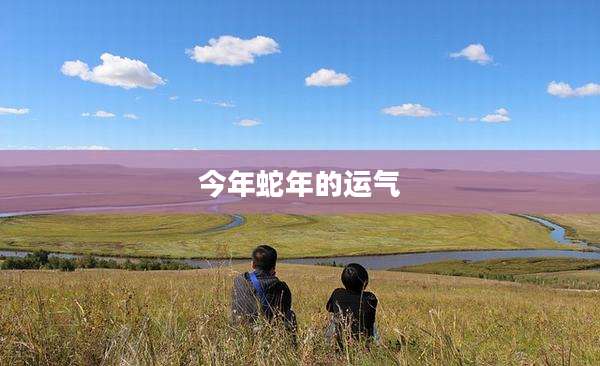 今年蛇年的运气
