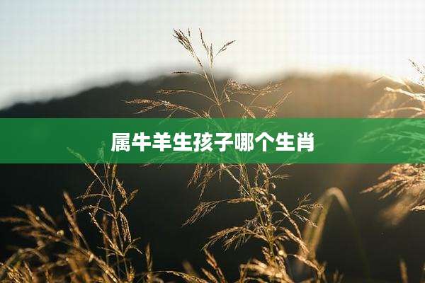 属牛羊生孩子哪个生肖