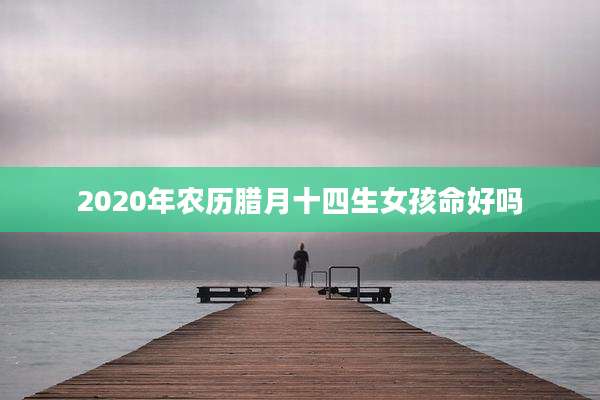 2020年农历腊月十四生女孩命好吗