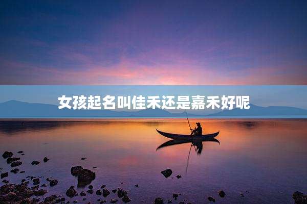 女孩起名叫佳禾还是嘉禾好呢