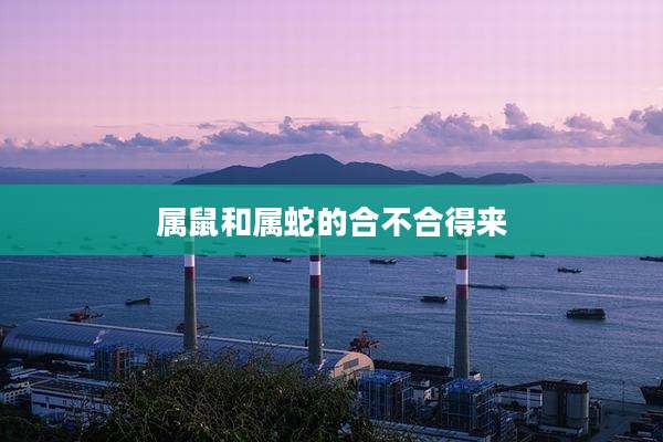 属鼠和属蛇的合不合得来