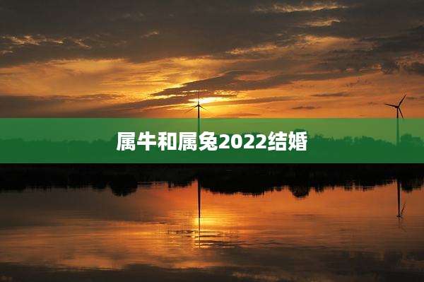 属牛和属兔2022结婚