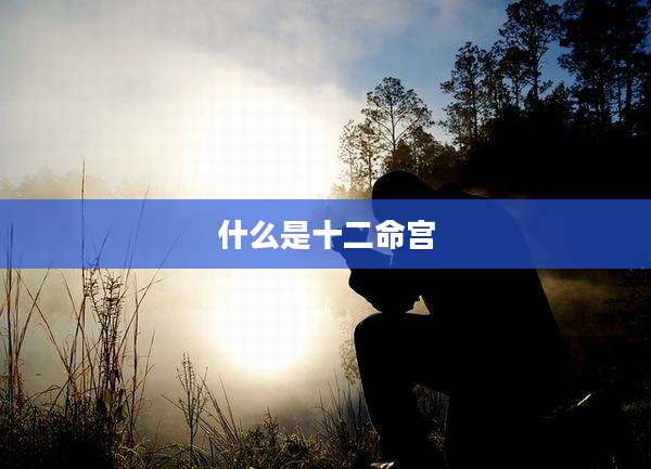 什么是十二命宫