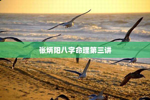 张炳阳八字命理第三讲