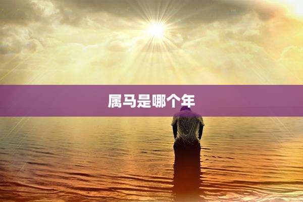 属马是哪个年