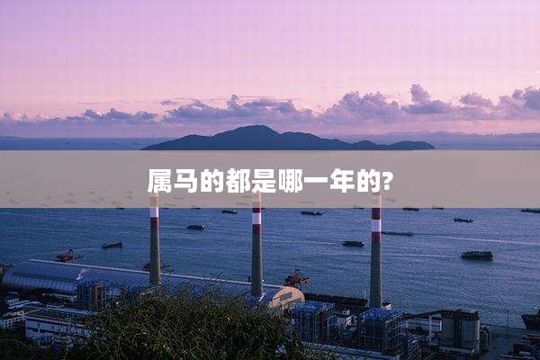 属马的都是哪一年的?