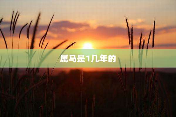 属马是1几年的