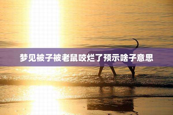 梦见被子被老鼠咬烂了预示啥子意思