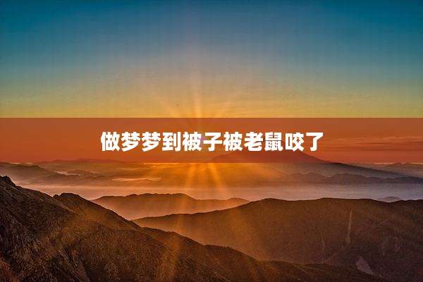 做梦梦到被子被老鼠咬了