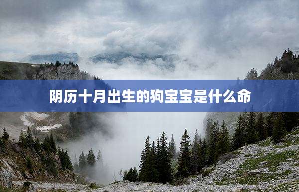 阴历十月出生的狗宝宝是什么命