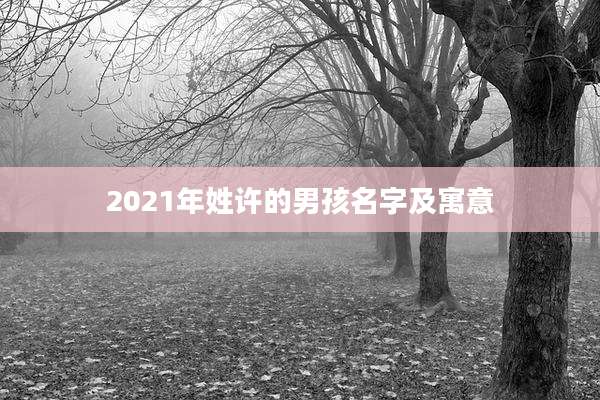 2021年姓许的男孩名字及寓意