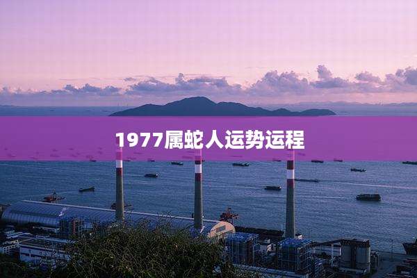 1977属蛇人运势运程
