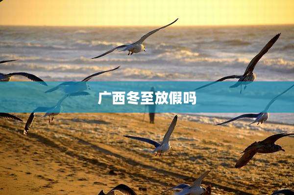 广西冬至放假吗