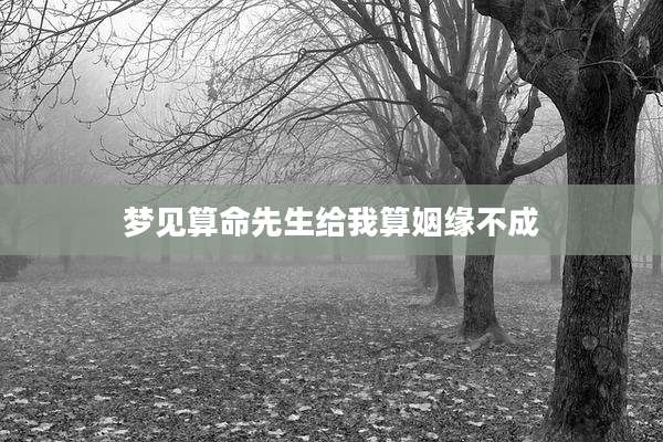 梦见算命先生给我算姻缘不成