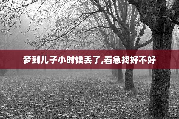 梦到儿子小时候丢了,着急找好不好