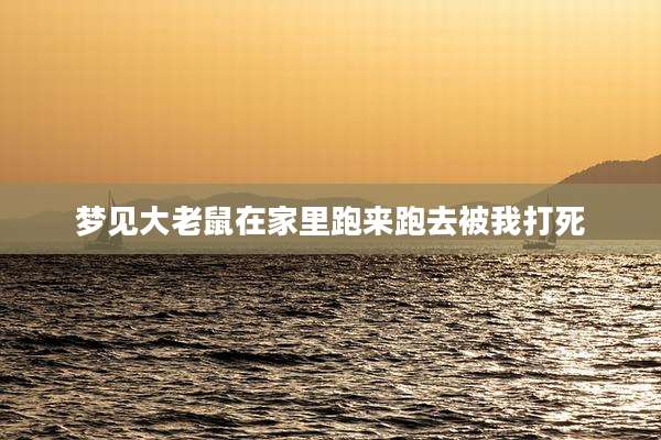 梦见大老鼠在家里跑来跑去被我打死