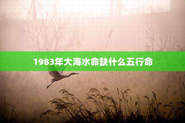 1983年大海水命缺什么五行命