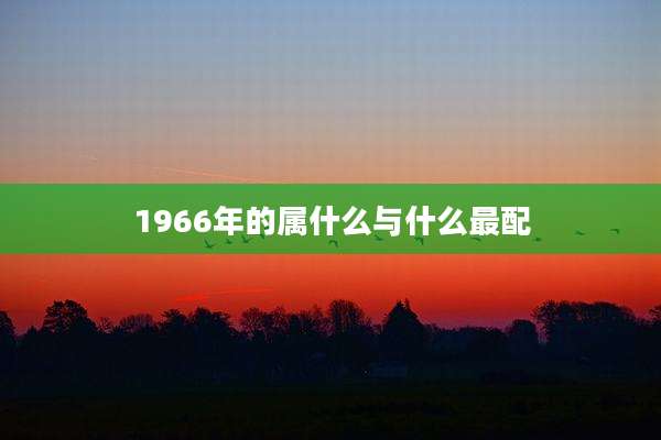 1966年的属什么与什么最配
