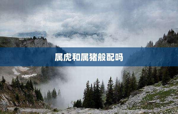 属虎和属猪般配吗