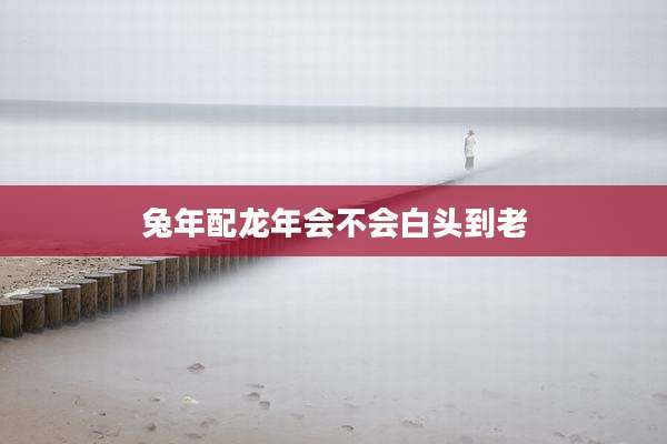 兔年配龙年会不会白头到老