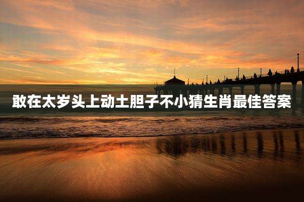 敢在太岁头上动土胆子不小猜生肖最佳答案