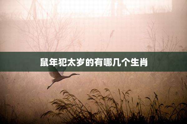 鼠年犯太岁的有哪几个生肖