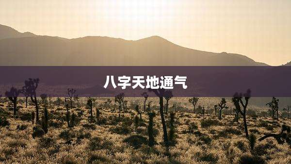 八字天地通气