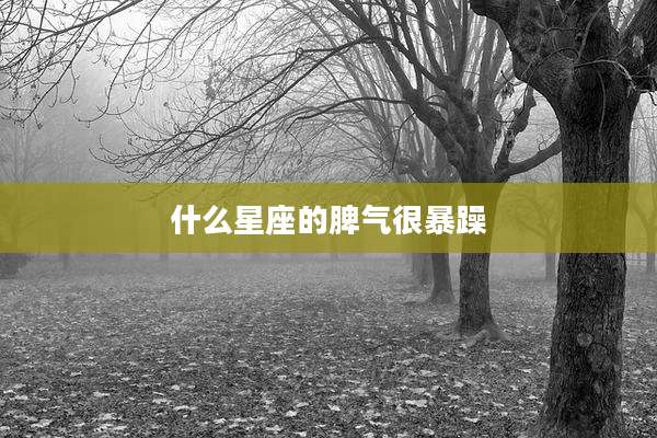 什么星座的脾气很暴躁