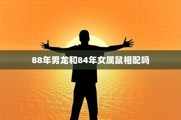 88年男龙和84年女属鼠相配吗