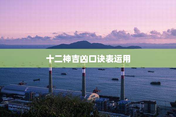 十二神吉凶口诀表运用