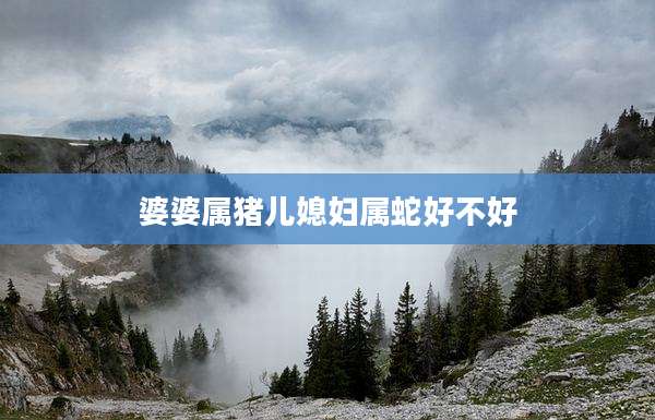 婆婆属猪儿媳妇属蛇好不好
