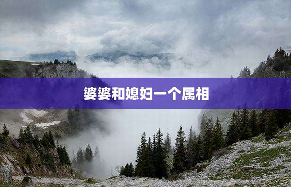 婆婆和媳妇一个属相